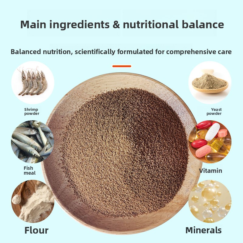 DINGZU Mini Cichlid Food à hau - Baby Food High In Protein avis et prix