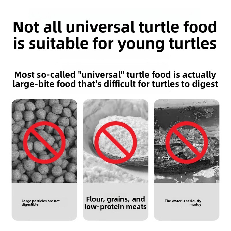 Fulepets Aliments pour tortues - Baby Food High In Protein avis et prix