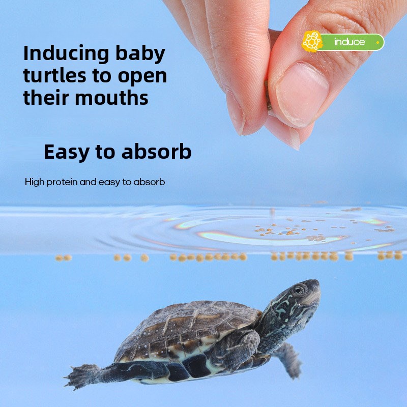 Fulepets Aliments pour tortues - Baby Food High In Protein avis et prix
