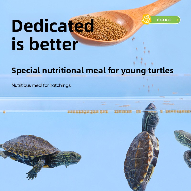Fulepets Aliments pour tortues - Baby Food High In Protein avis et prix