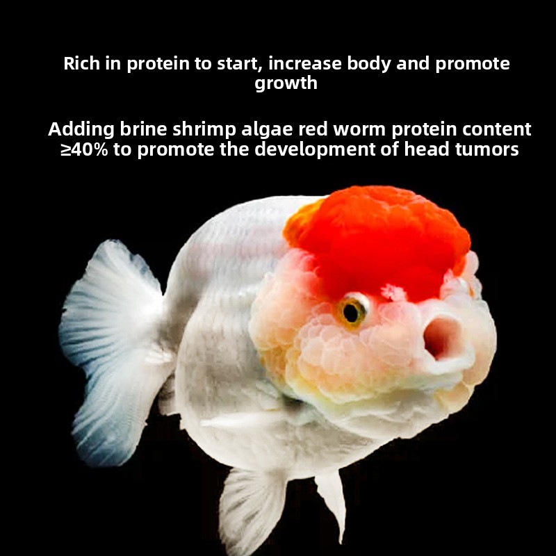 Poisson bébé coulant nourritur - Baby Food High In Protein avis et prix
