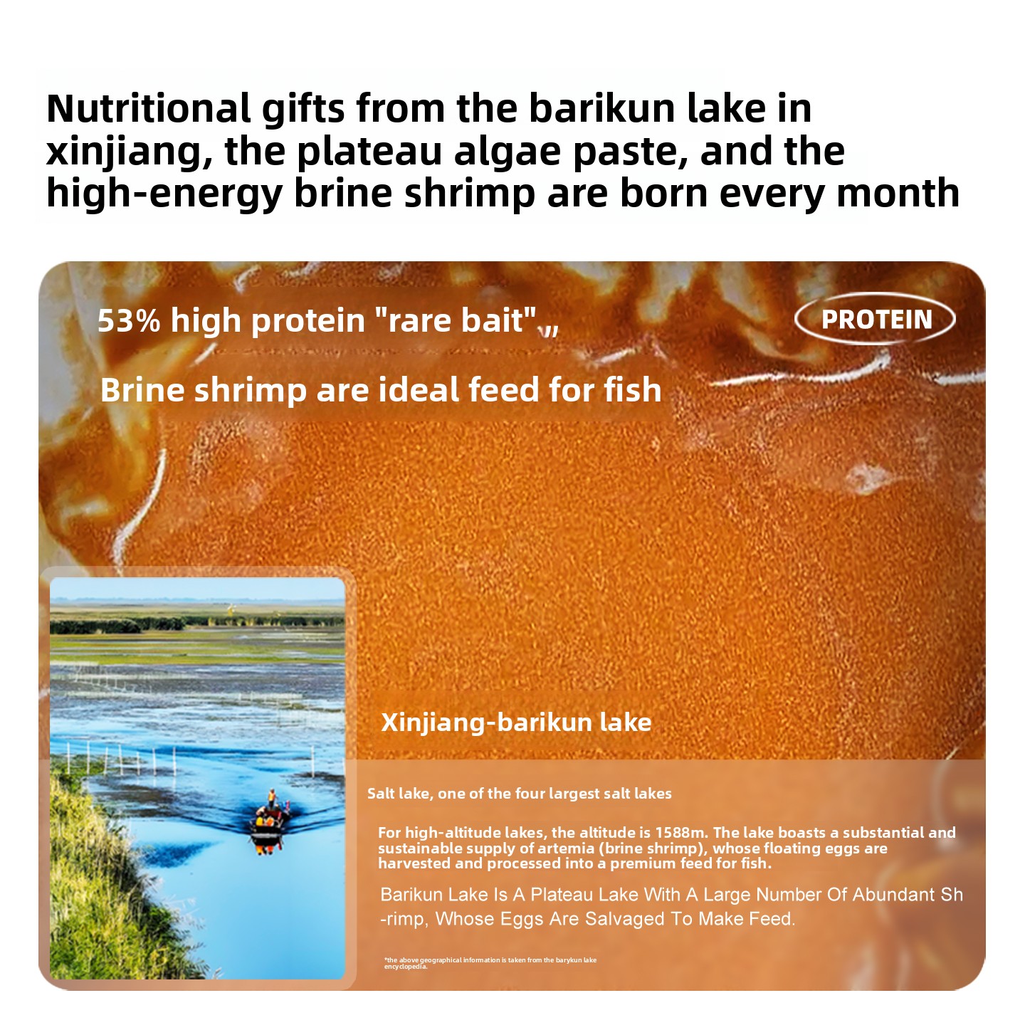 SANKii Arthémie de crevettes e - Baby Food High In Protein avis et prix