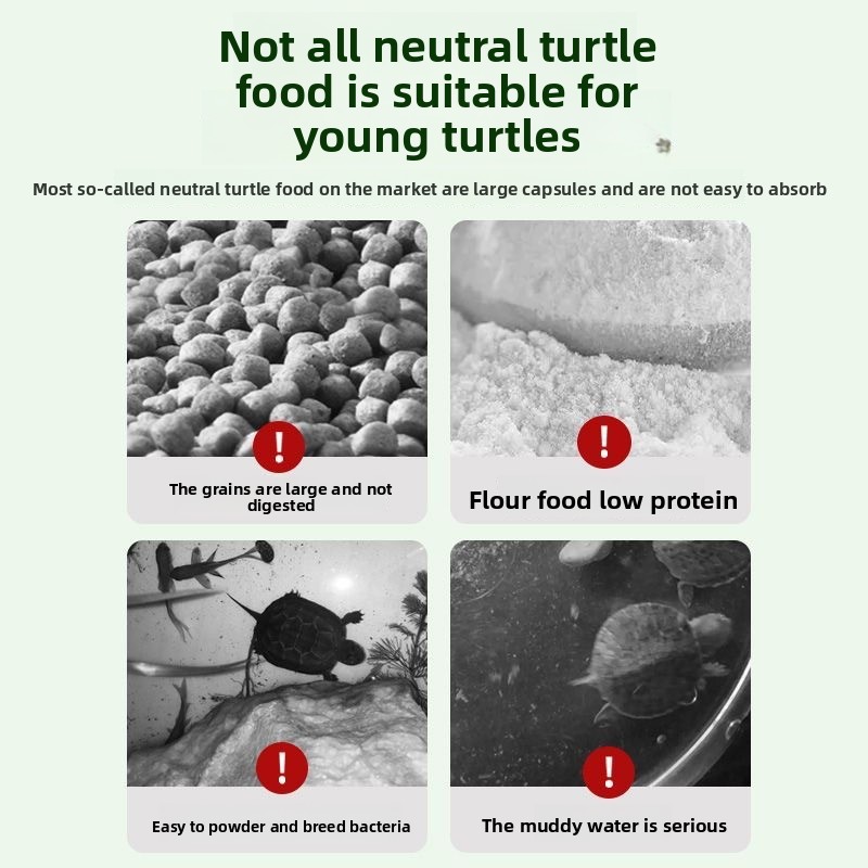 Nai chong Hatchling Turtle Foo - Baby Food High In Protein avis et prix