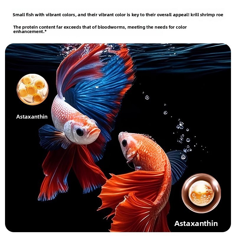 Yee Krill & Baby Shrimp Alimen - Baby Food High In Protein avis et prix